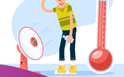 Fortes chaleurs – la circulaire